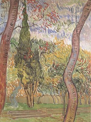 Vincent Van Gogh The Garden of Saint-Paul Hospital (nn04) oil painting image